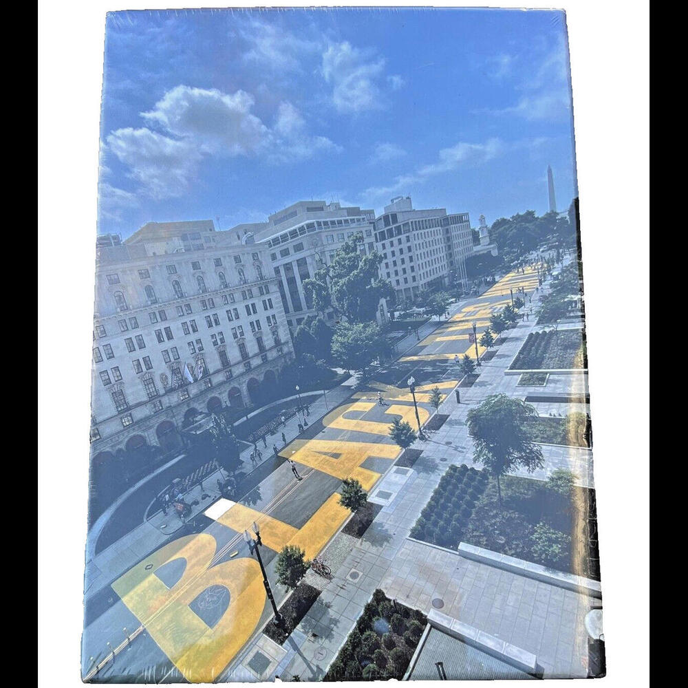 NEW SEALED Black Lives Matter jig saw puzzle Plaza Washington Photo 1000 piece
